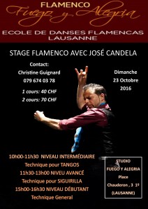 stage-lausanne-23-oct